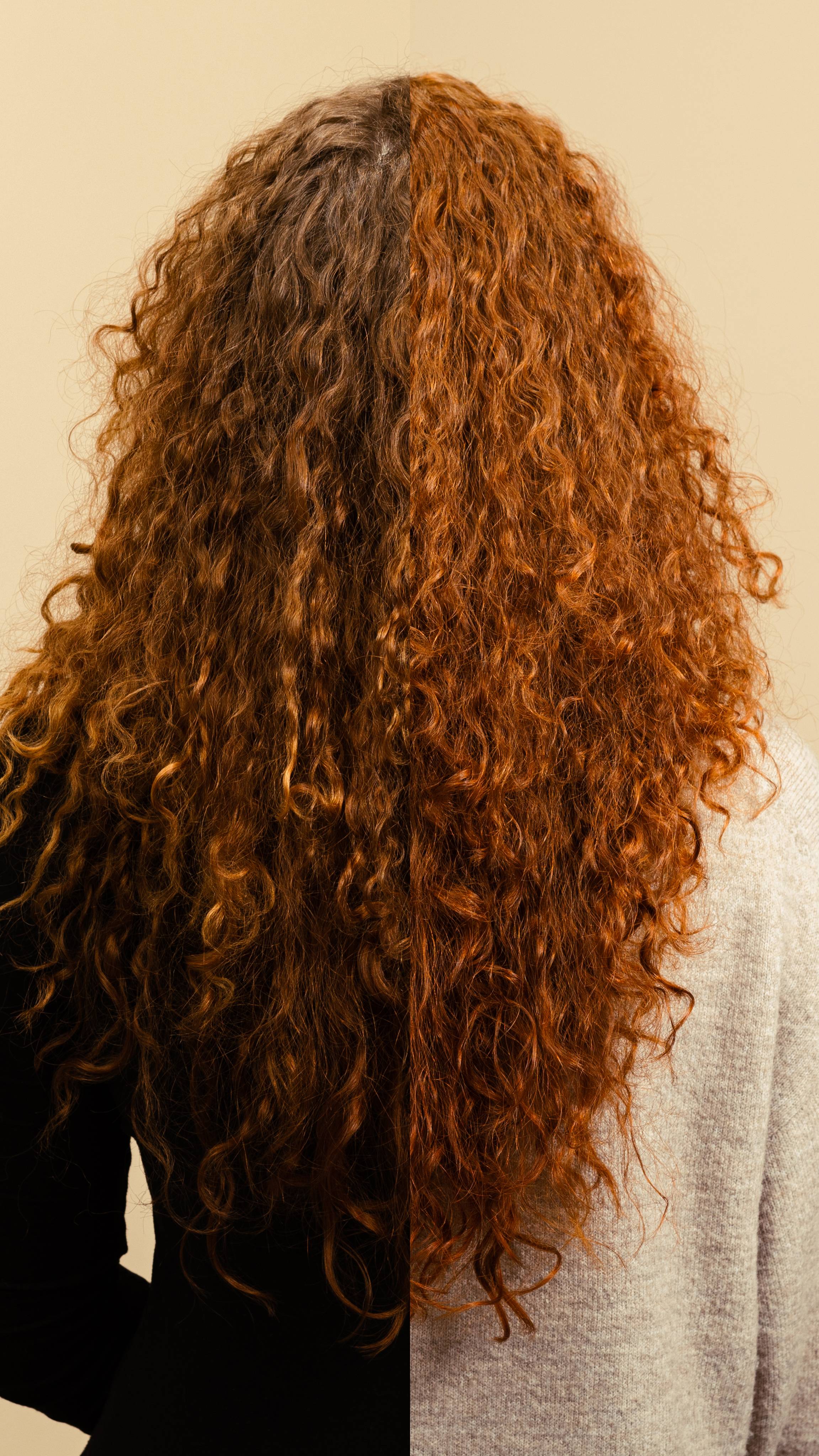 3DC8AE5B-0CA2-EF4E-F5E5-C18A6F177267