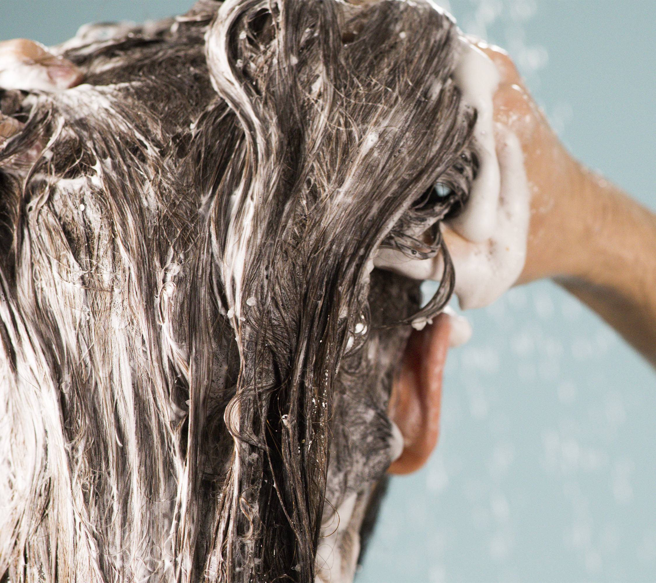 4D781F2A-4A7D-9CD3-3383-58E925927034