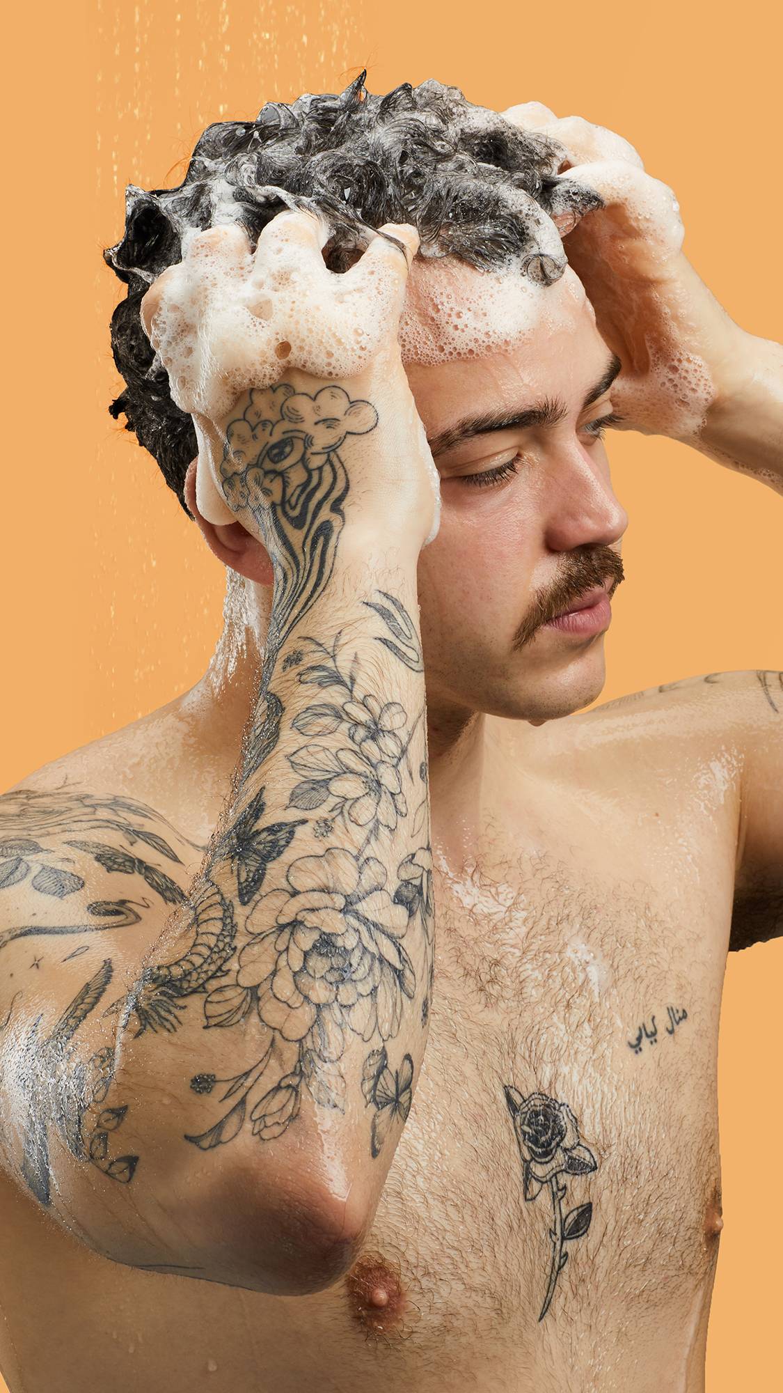 C9107AA7-CC3D-4CA0-FE9D-E5C641FEF4CB